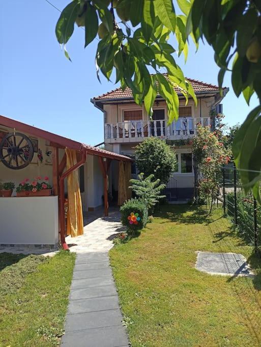 Jj Zavoi Villa Orastie Exterior photo